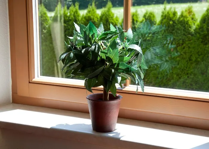 Bergland Ξενοδοχείο με διαμερίσματα 4*