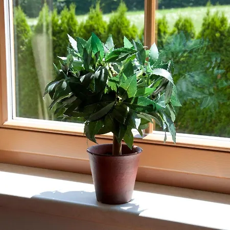 Bergland Apartahotel 4*